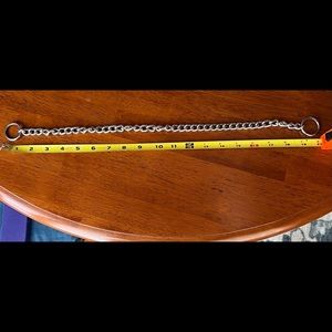 Dog 19” Choke Collar